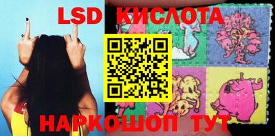 гашик Будённовск