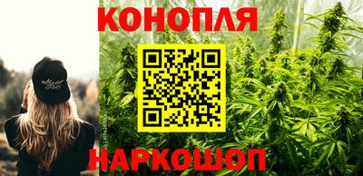 гашик Будённовск