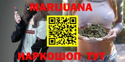 гашик Будённовск