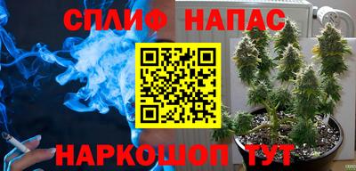 гашик Будённовск
