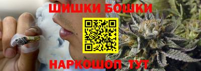 гашик Будённовск