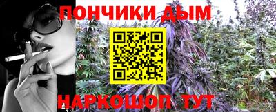 гашик Будённовск
