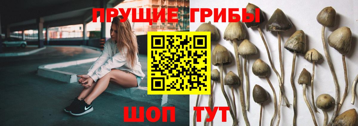 Псилоцибиновые грибы мицелий  Вход с VPN  Галлюциногенные грибы мицелий  Щёкино 